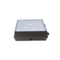 Most powerful light Outdoor super bright 100-277V  60W 80W 100W 120W 140W led gas station canopy lamp